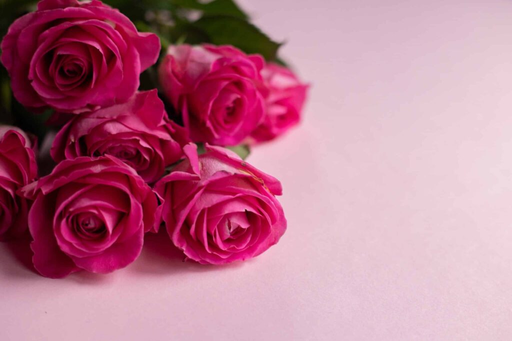 Le meilleur cadeau de saint-valentin pour une jeune maman